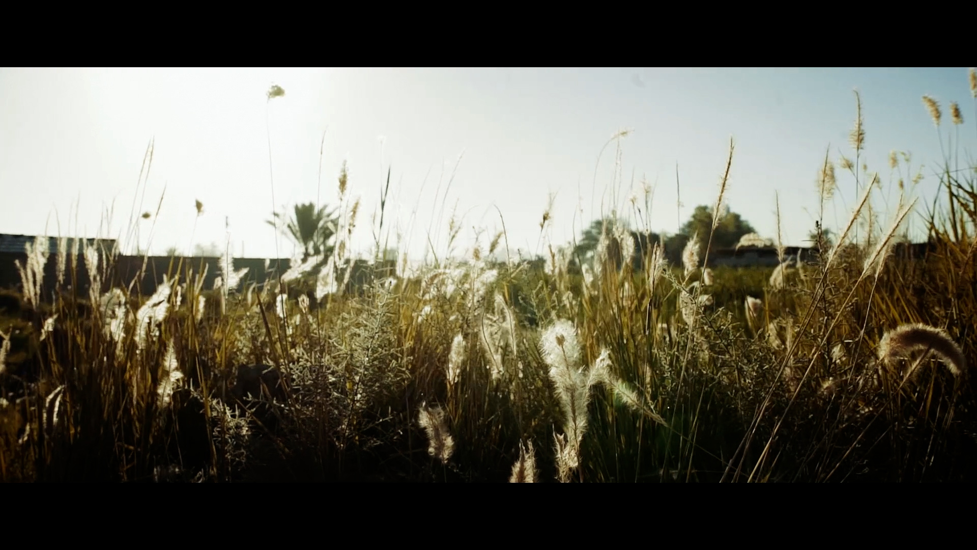 Glimpse of Hope